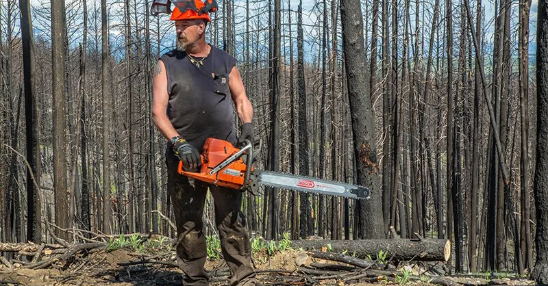Coconino Official Backs Bill to Burn Forest Waste for Renewable Energy Coconino Official Backs Bill to Burn Forest Waste for Renewable Energy