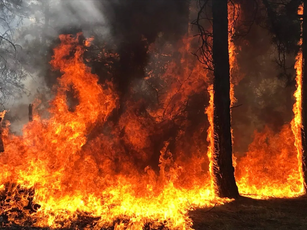 Mangum Fire  scaled  x
