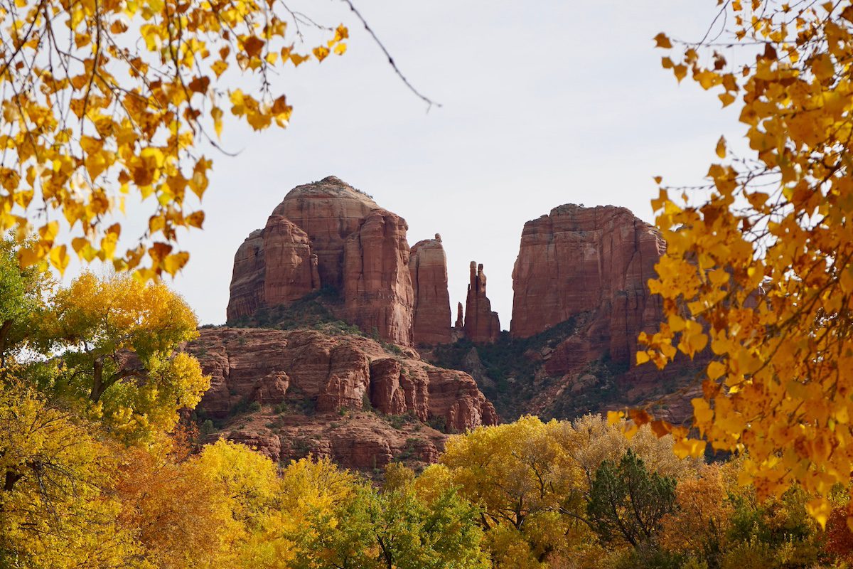 Fall does exist in Arizona. Here’s where to see the leaves change colors