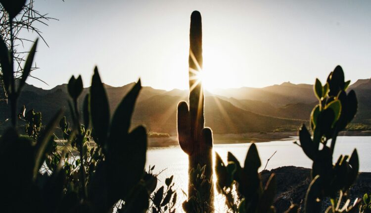 Your guide to central Arizona lakes